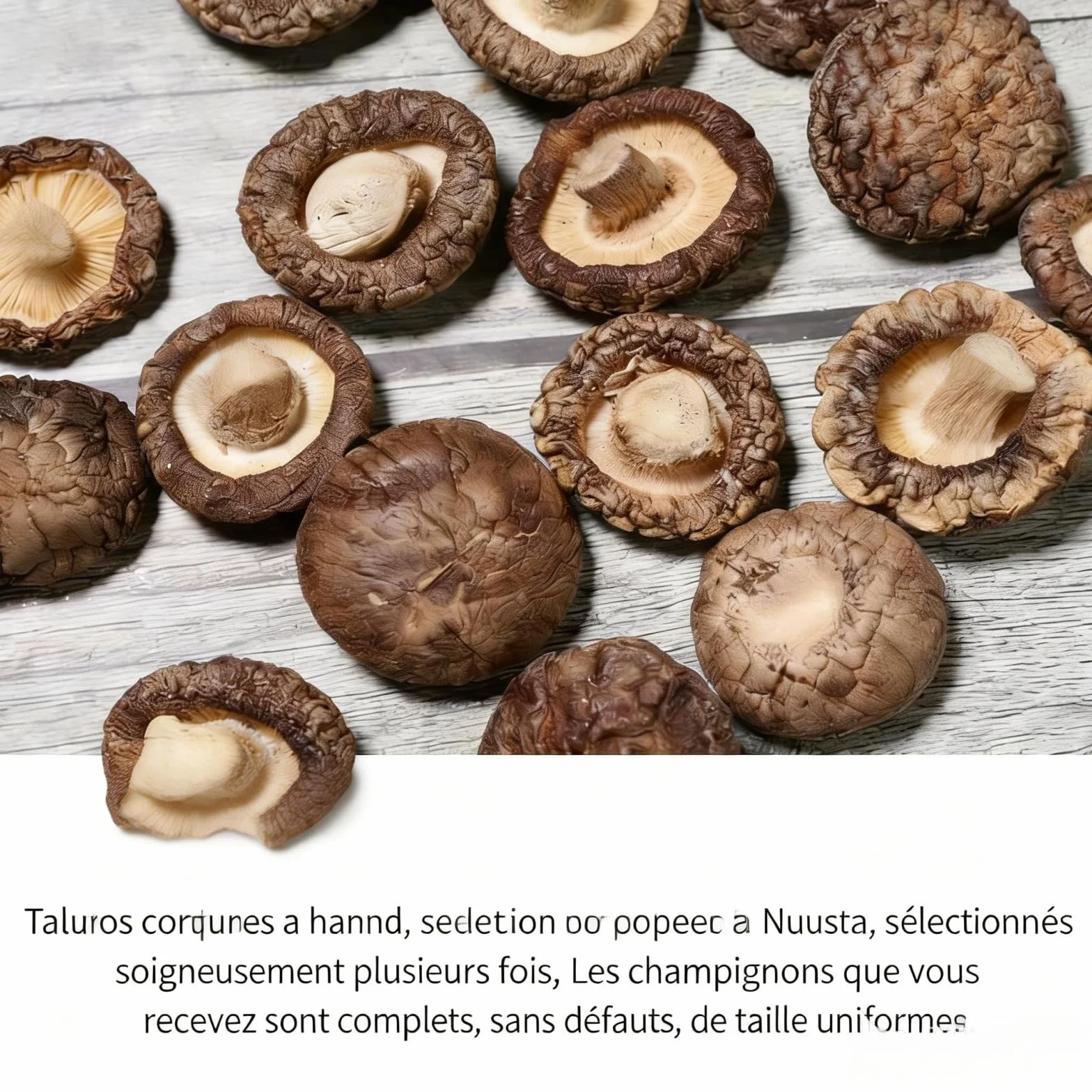 TraiHuyan Shiitake Secos 250g Grado A Secado Controlado Sabor Intenso 100% Natural Vegano