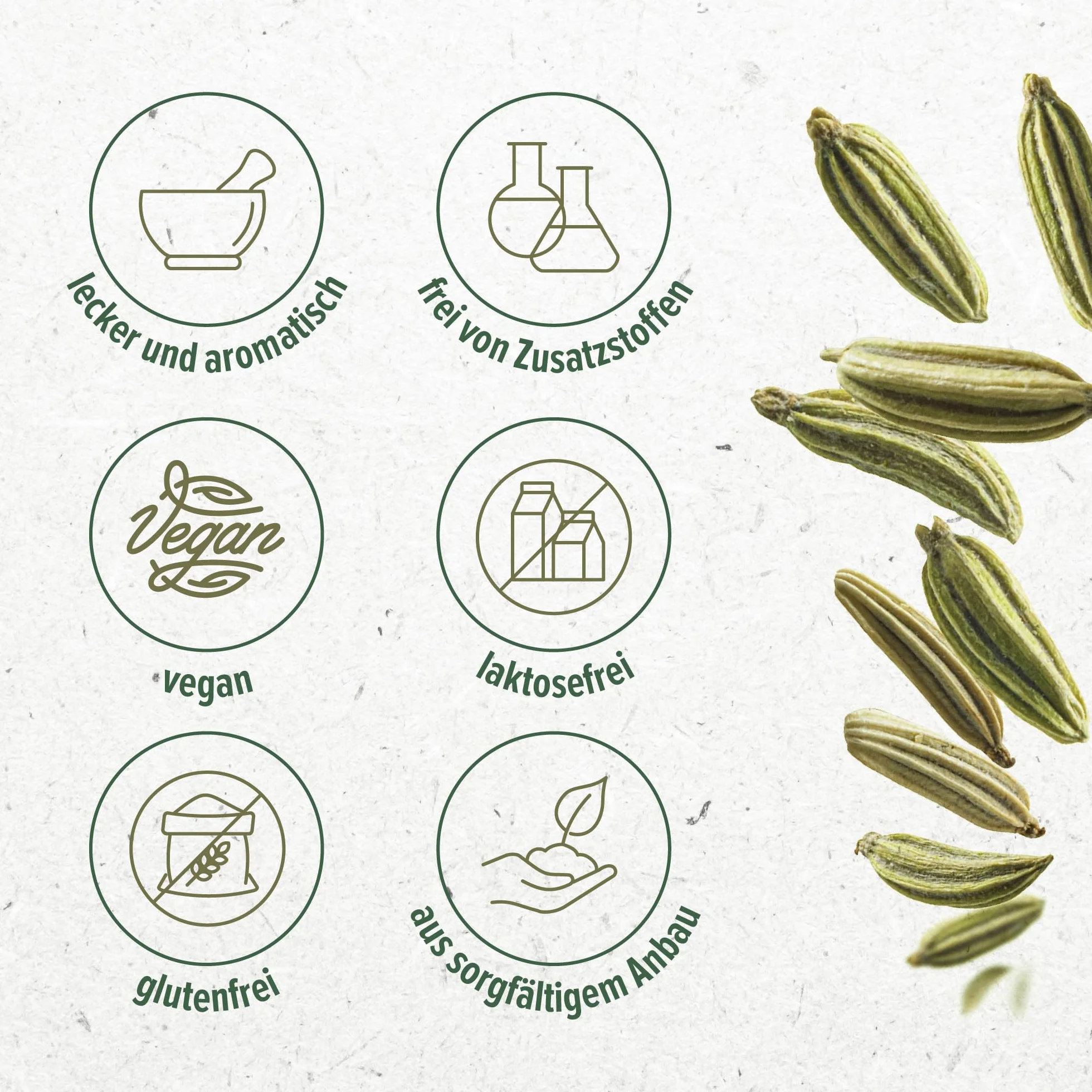 Semillas de Hinojo Monte Nativo 500g - Especias secas para Té y Cocina