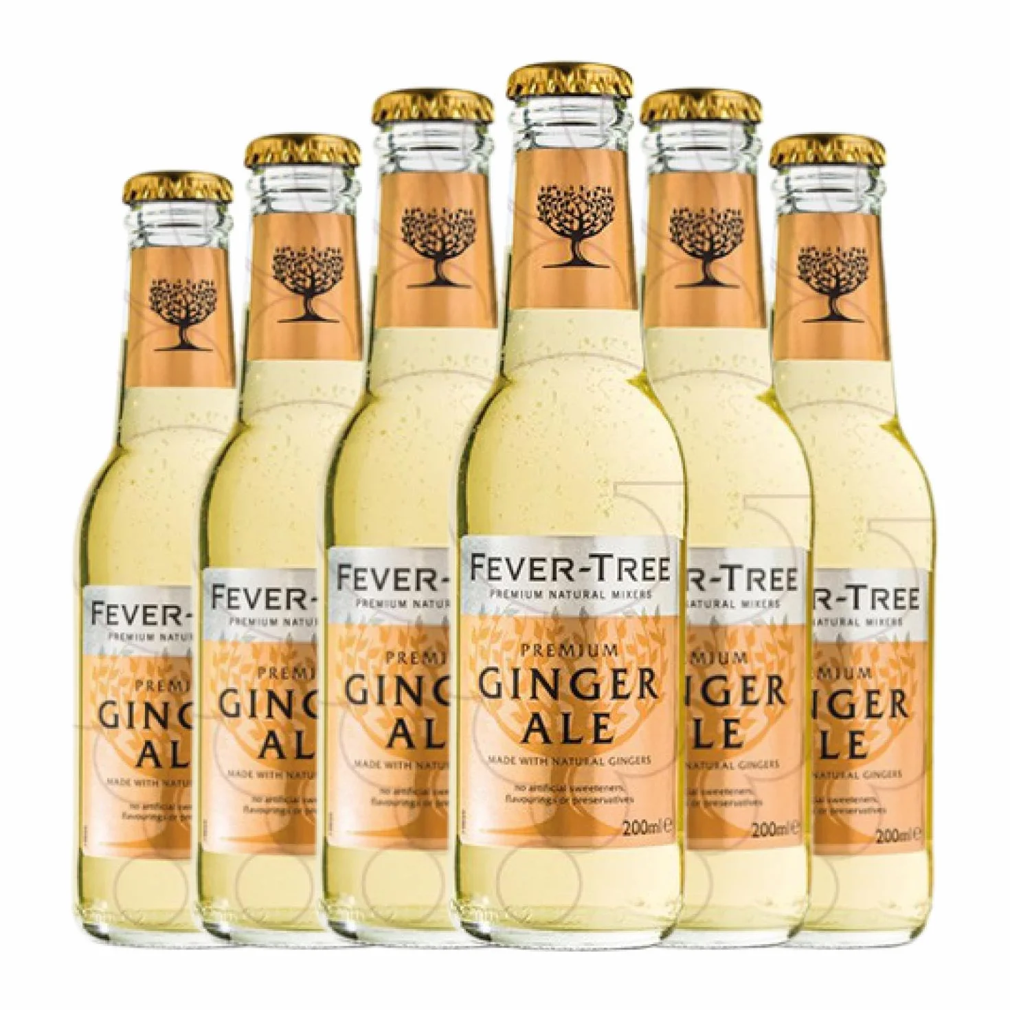 Fever-Tree Ginger Ale Botellín 20 cl Caja de 6