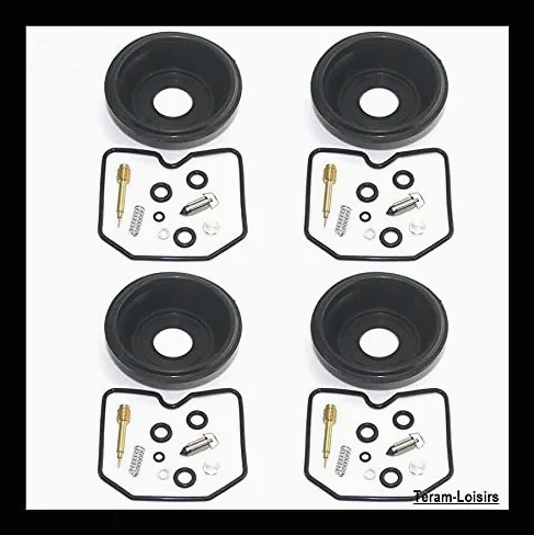 Teram Loisers - Kit de reparación de carburador y membrana compatible con Suzuki GSF 600 Bandit de 1996 a 2003.