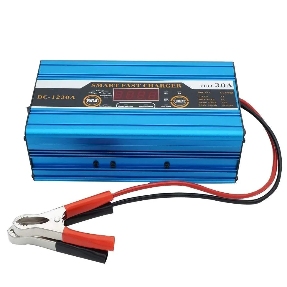Riloer Cargador de batería inteligente 12V 30A LCD carga rápida para coche moto barco