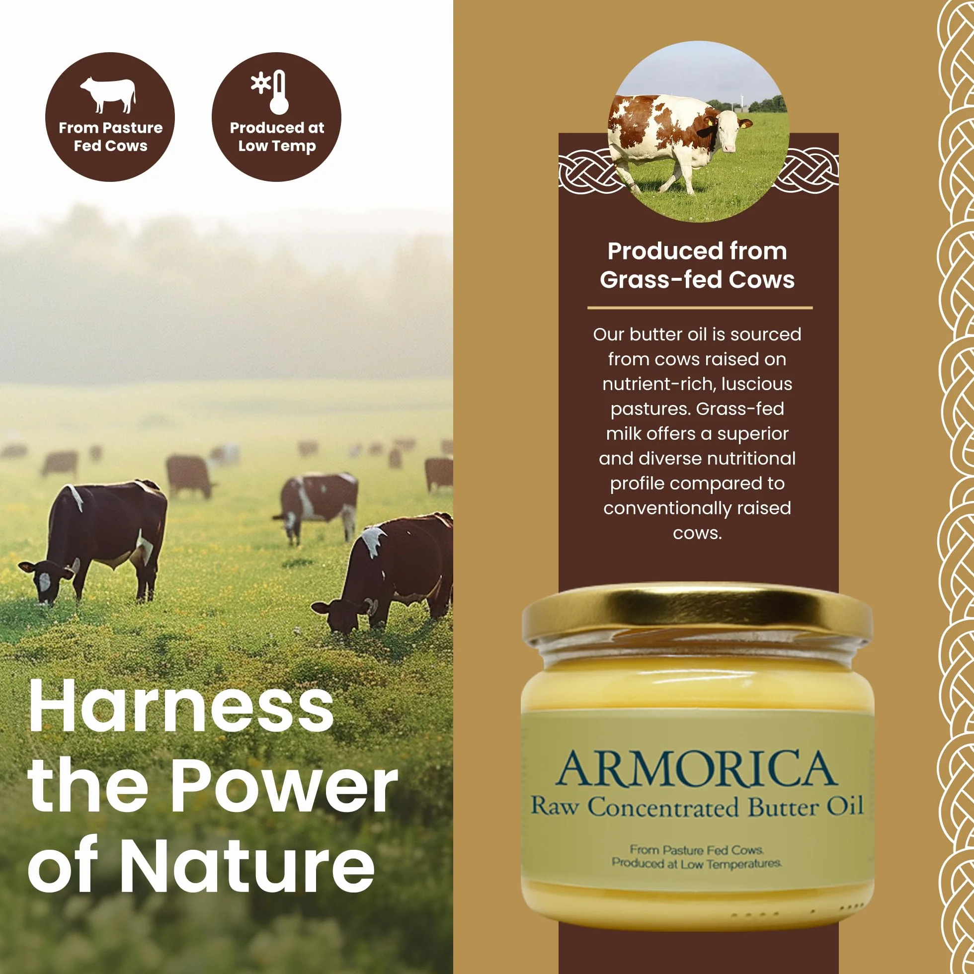 ARMORICA Aceite de mantequilla concentrado 230 g Hecho de leche de vaca alimentada con pasto Fuente de vitaminas solubles en grasa Rico en grasas saludables