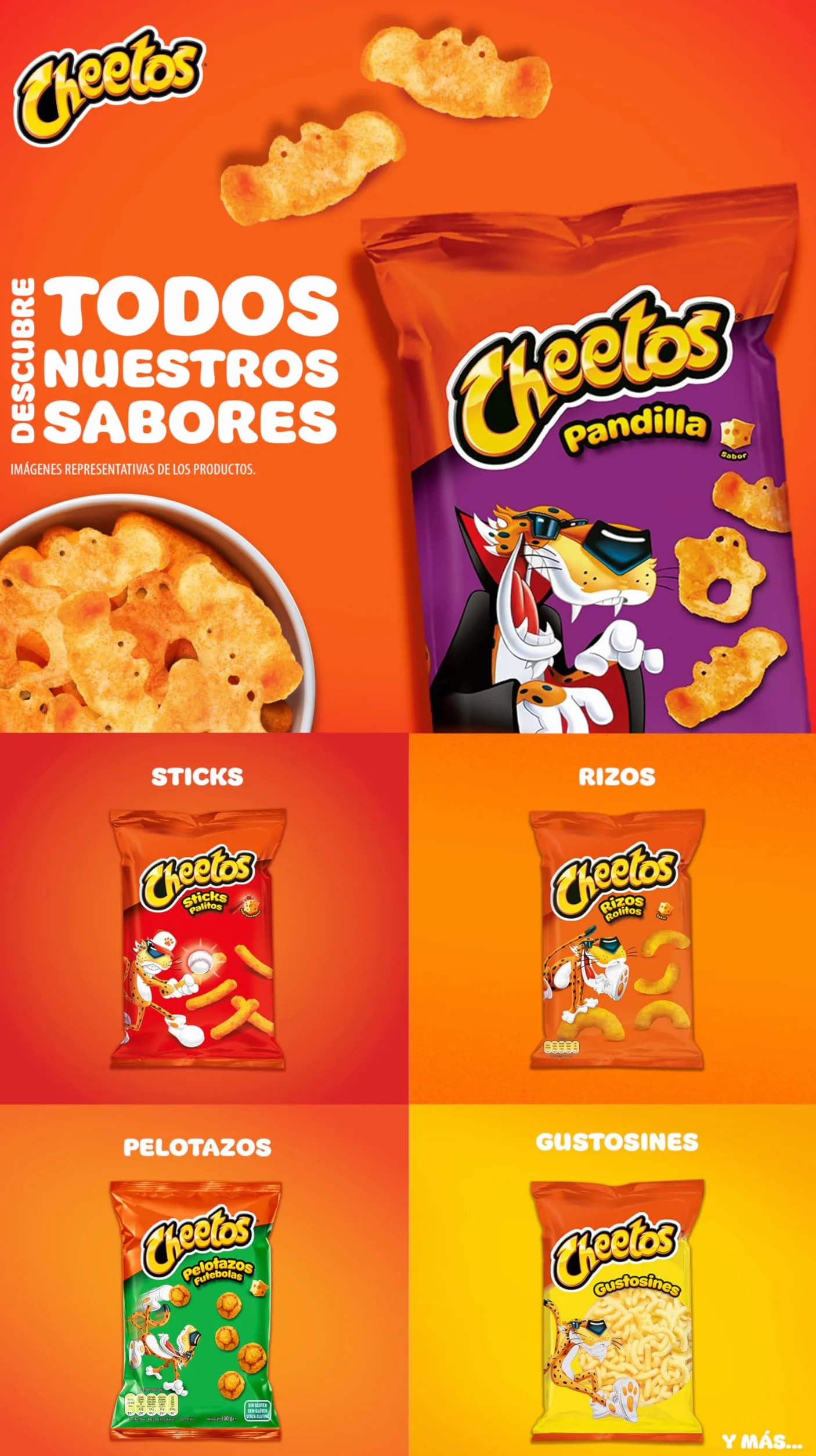 Cheetos Pandilla Snack sabor a Queso 75gr