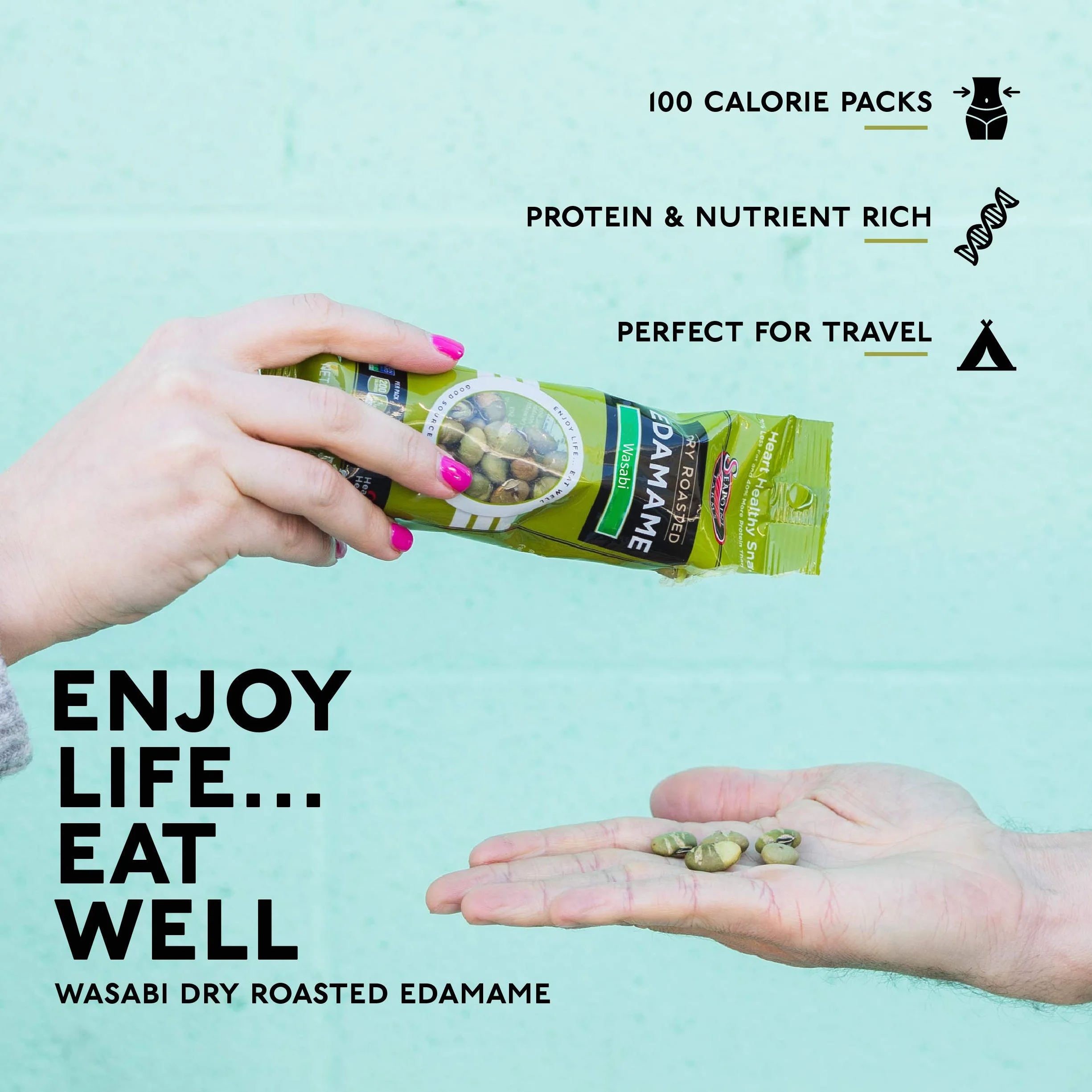 Seapoint Farms Dry Roasted Edamame Wasabi (12 x 1.58 oz)