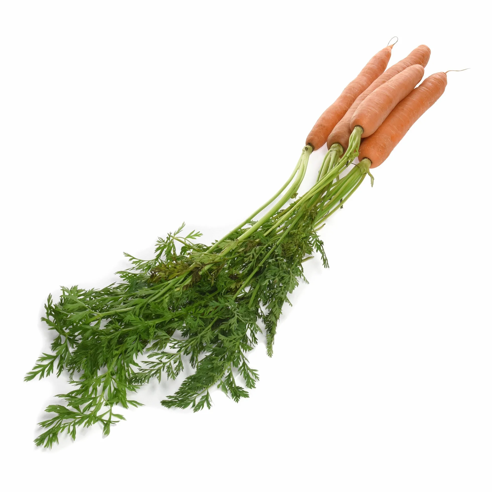 Zanahoria Manojo 990 g