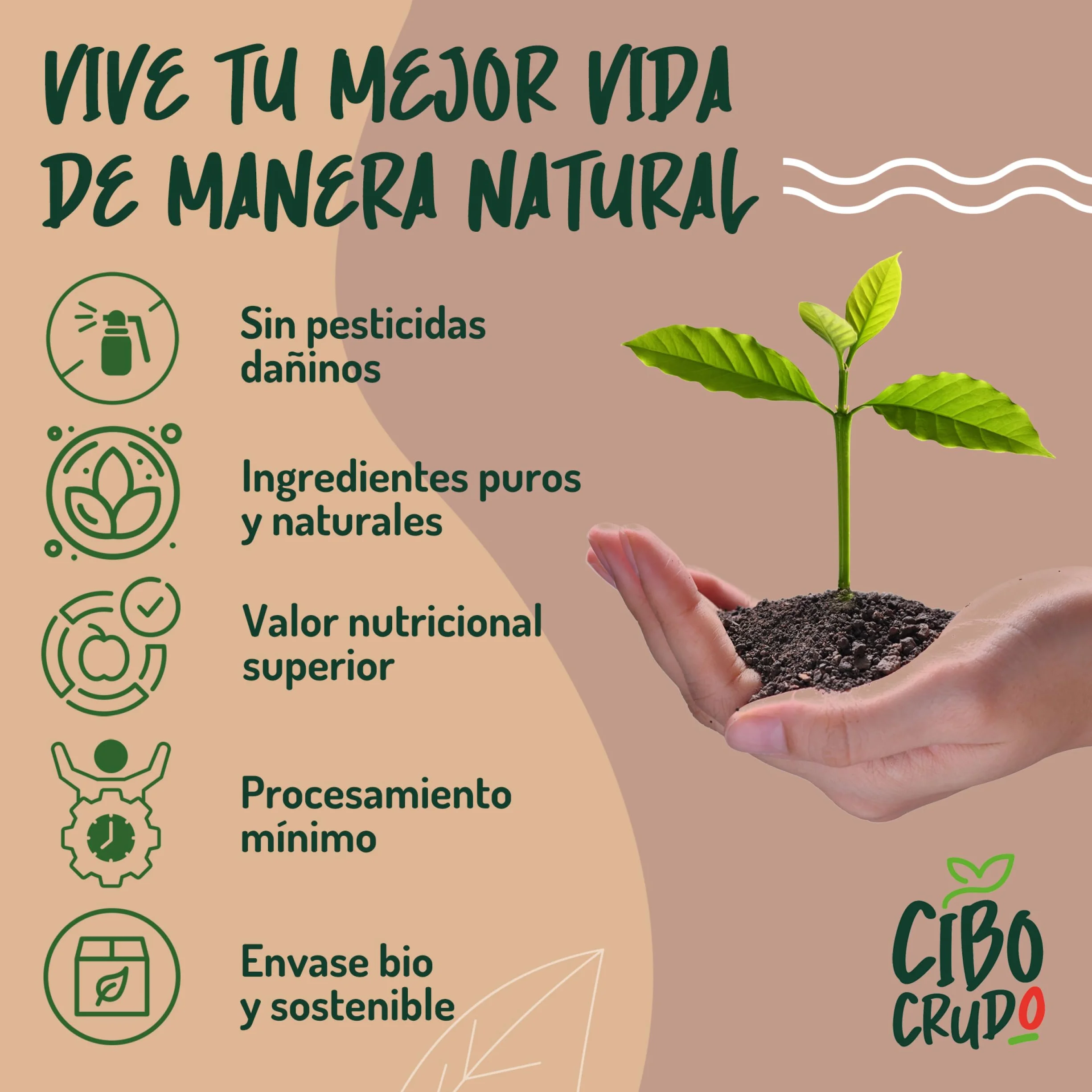 Granos de Cacao Crudo Orgánico 250g - Cacao Puro de Guatemala, Grano o Nibs 100% Natural