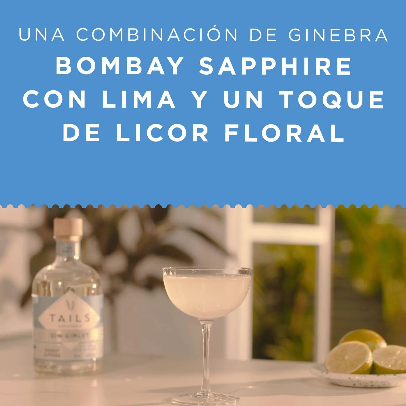 Tails Cocktails Gin Gimlet Bombay Sapphire Gin 14,9% vol 50 cl