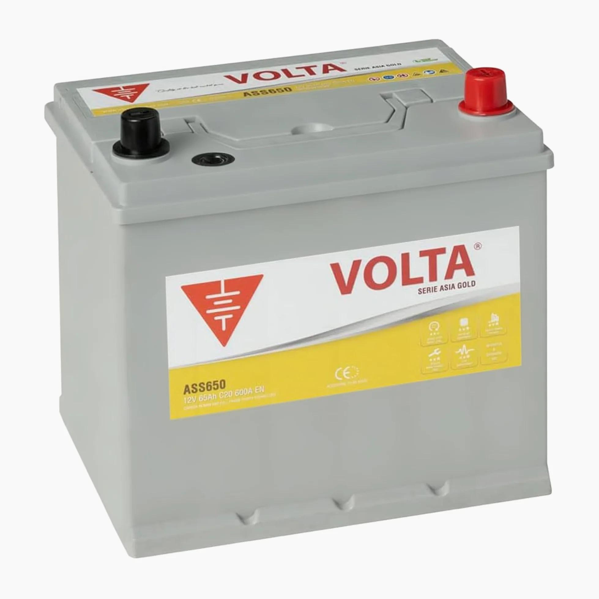 Batería de Coche Start-Stop EFB 65Ah 600 AEN - Volta Gold Asia ASS650D - Sistema Start-Stop - Borne +Derecha - Medidas Largo 230 x Ancho 173 x Alto 225 mm con 2 Años Garantía - Fabricación Europea