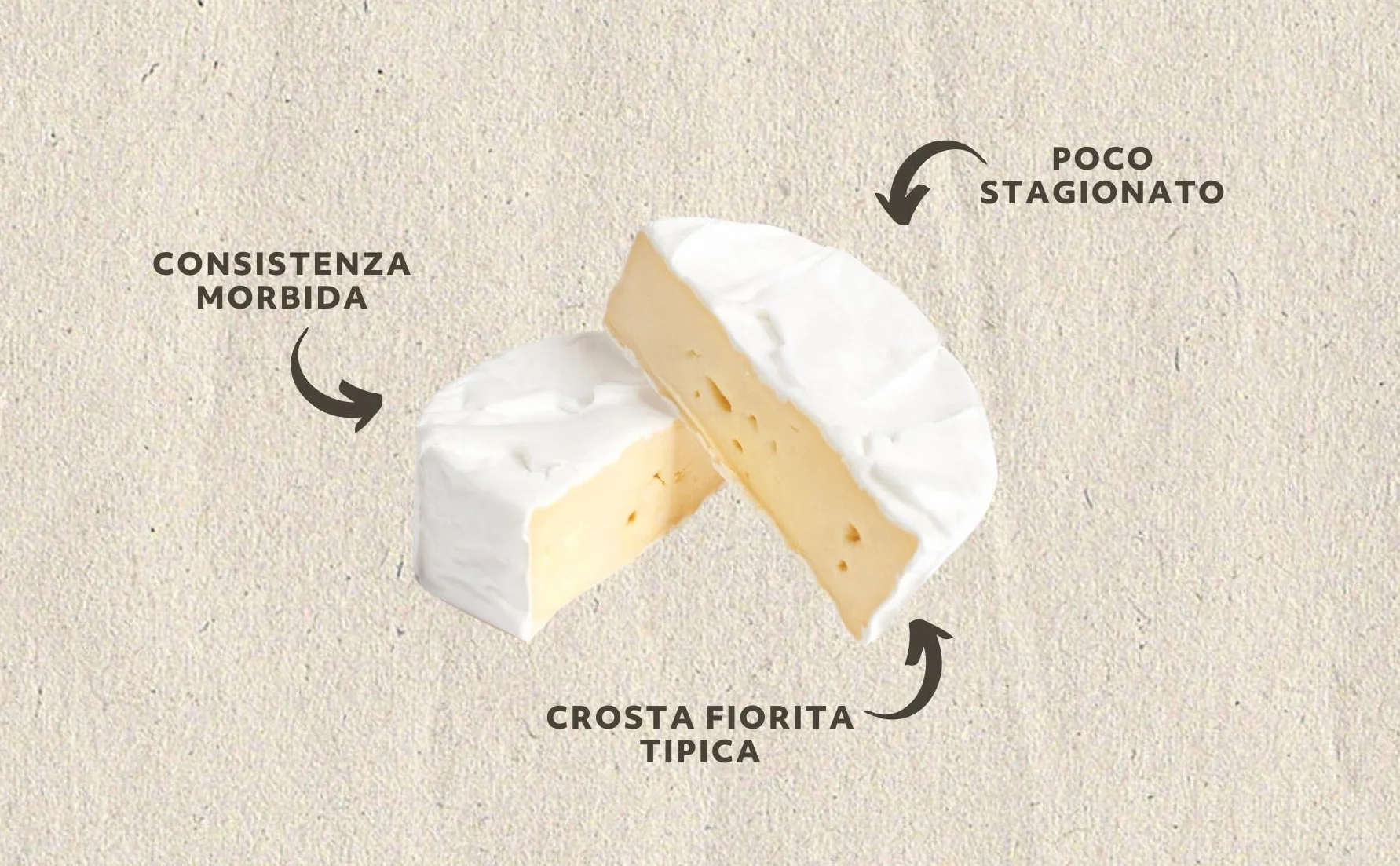 Queso Brie Salumi Pasini® 1 Kg Queso Blando